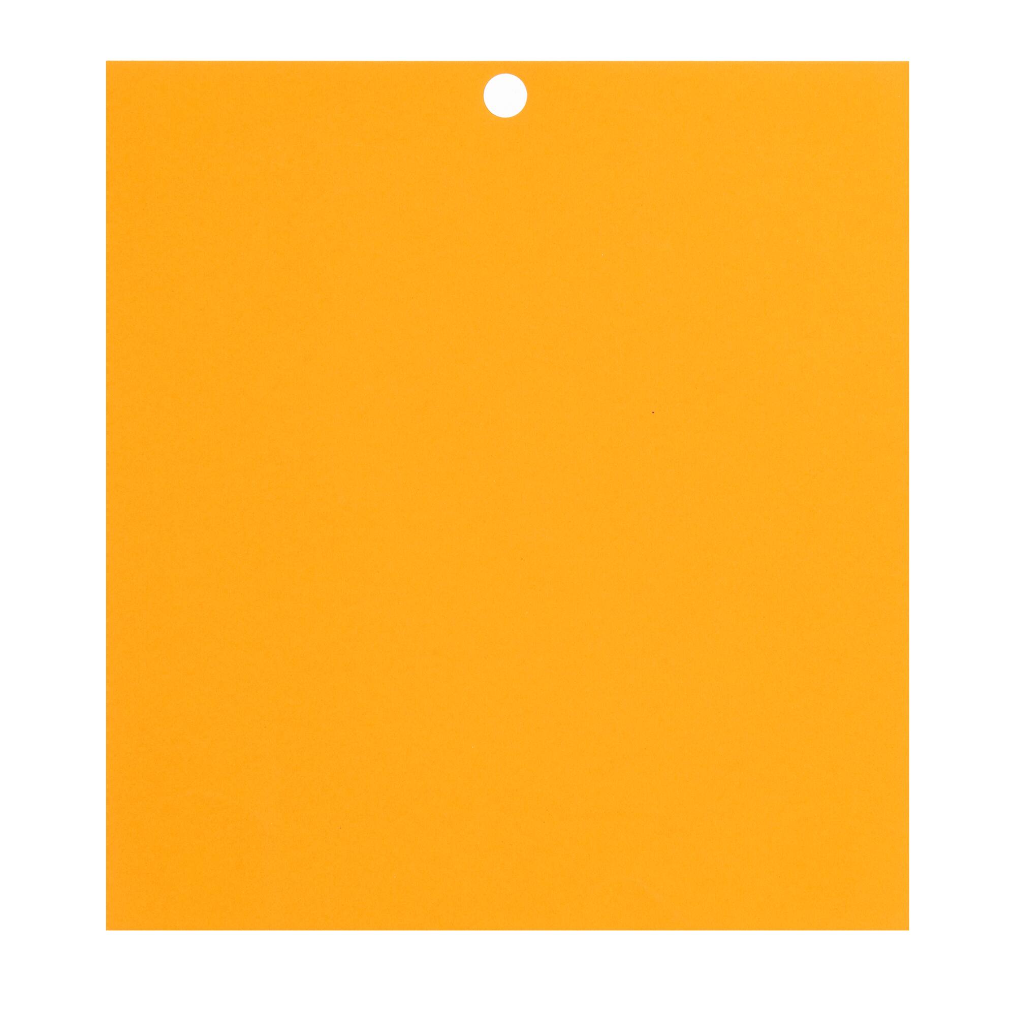 Citrus 6" x 6.5" Cardstock Paper by Recollections™, 100 Sheets